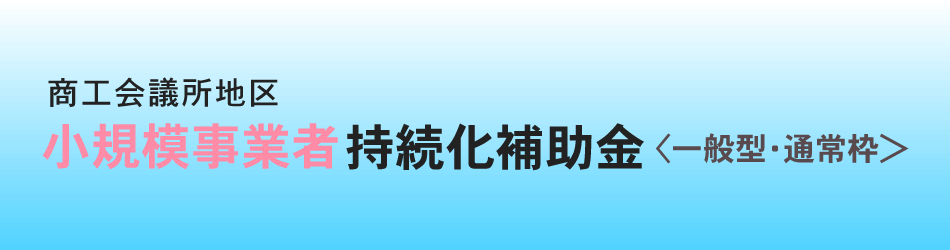 小規模事業者等持続化補助金